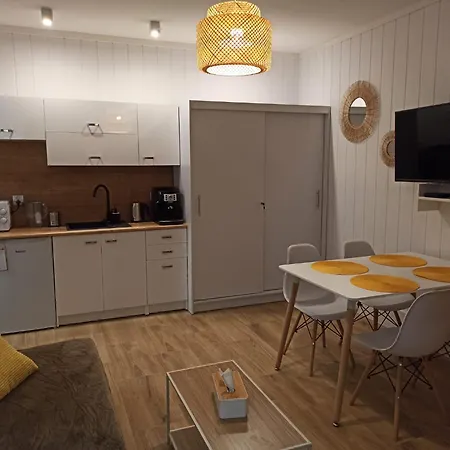 Sloneczny Apartament Z Prywatna Sauna W Stroniu Slaskim Stronie Slaskie Exterior photo