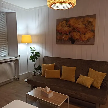 Sloneczny Apartament Z Prywatna Sauna W Stroniu Slaskim Stronie Slaskie Exterior photo